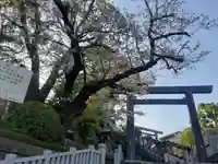 伊勢山皇大神宮(神奈川県)