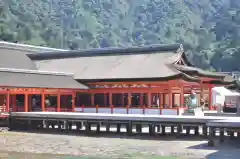 厳島神社(広島県)