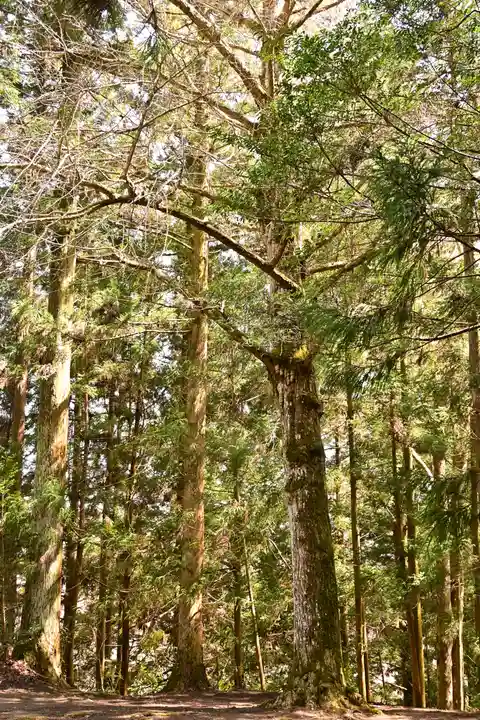 相峰神社(愛媛県)
