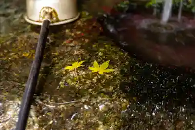 柞原八幡宮(大分県)