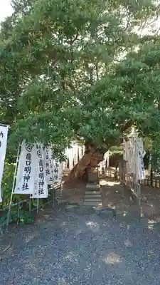 龍口明神社(神奈川県)