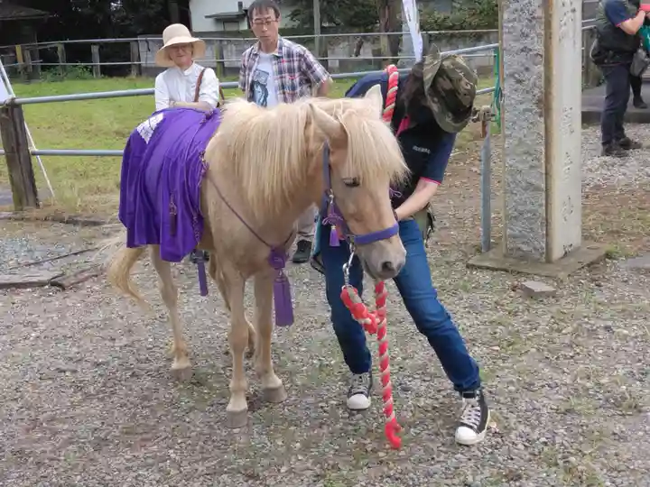 妙安寺(埼玉県)