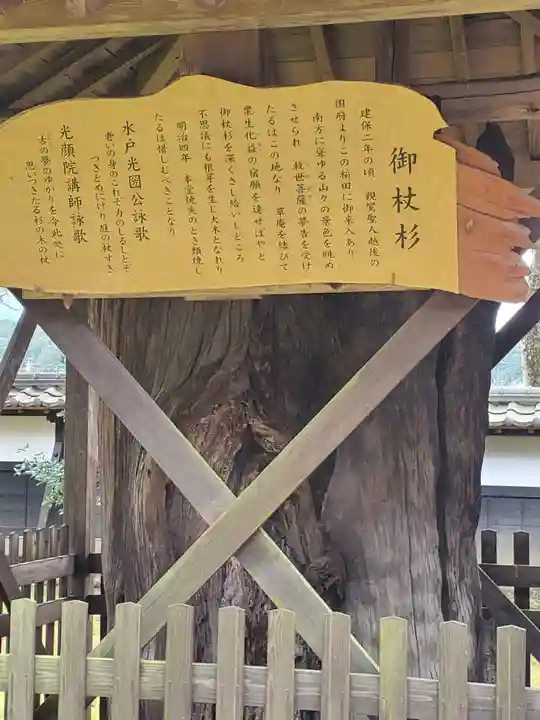 西念寺の歴史