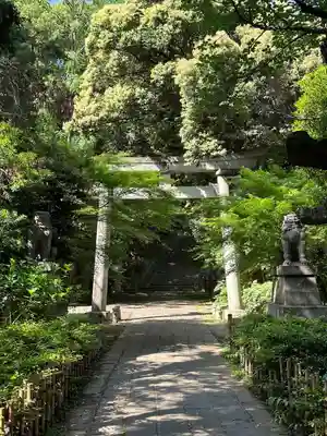 赤坂氷川神社(東京都)
