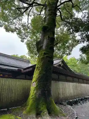 伊勢神宮外宮（豊受大神宮）(三重県)