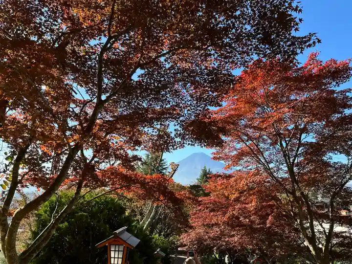 新倉富士浅間神社(山梨県)