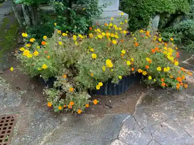 眞徳寺(神奈川県)