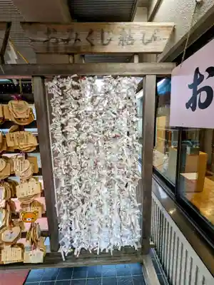 北海道神宮頓宮のおみくじ