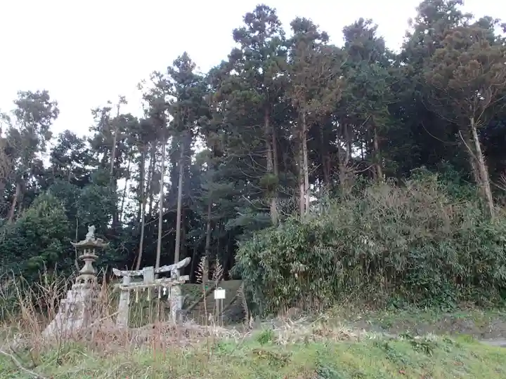 天手長比賣神社跡の自然