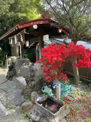 子之神社の{uncategorized: "未分類", other: "その他", undefined: "問題あり", building: "その他建物", grave: "お墓", sacred_gate: "鳥居", guardian: "狛犬", statue: "像", buddha: "仏像", history: "歴史", nature: "自然", garden: "庭園", animal: "動物", pagoda: "塔", temizu: "手水舎", mountain_gate: "山門・神門", sanctuary: "本殿・本堂", subordinate: "末社・摂社", art: "芸術", scenery: "景色", jizo: "地蔵", ema: "絵馬", goshuin: "御朱印", omikuji: "おみくじ", items: "授与品その他", amulet: "お守り", goshuincho: "御朱印帳", eats: "食事", festival: "お祭り", votive_dance: "神楽", shichigosan: "七五三参", wedding: "結婚式", experience: "体験その他", initially: "初詣", around: "周辺", anti_infection: "感染症対策"}