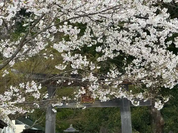 高麗神社の{uncategorized: "未分類", other: "その他", undefined: "問題あり", building: "その他建物", grave: "お墓", sacred_gate: "鳥居", guardian: "狛犬", statue: "像", buddha: "仏像", history: "歴史", nature: "自然", garden: "庭園", animal: "動物", pagoda: "塔", temizu: "手水舎", mountain_gate: "山門・神門", sanctuary: "本殿・本堂", subordinate: "末社・摂社", art: "芸術", scenery: "景色", jizo: "地蔵", ema: "絵馬", goshuin: "御朱印", omikuji: "おみくじ", items: "授与品その他", amulet: "お守り", goshuincho: "御朱印帳", eats: "食事", festival: "お祭り", votive_dance: "神楽", shichigosan: "七五三参", wedding: "結婚式", experience: "体験その他", initially: "初詣", around: "周辺", anti_infection: "感染症対策"}