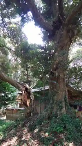 甲頭稲荷神社の建物その他