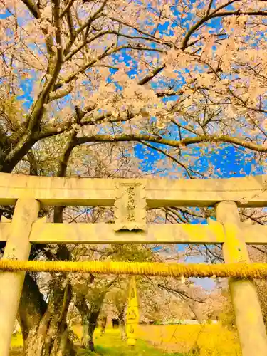 鹿嶋神社の鳥居