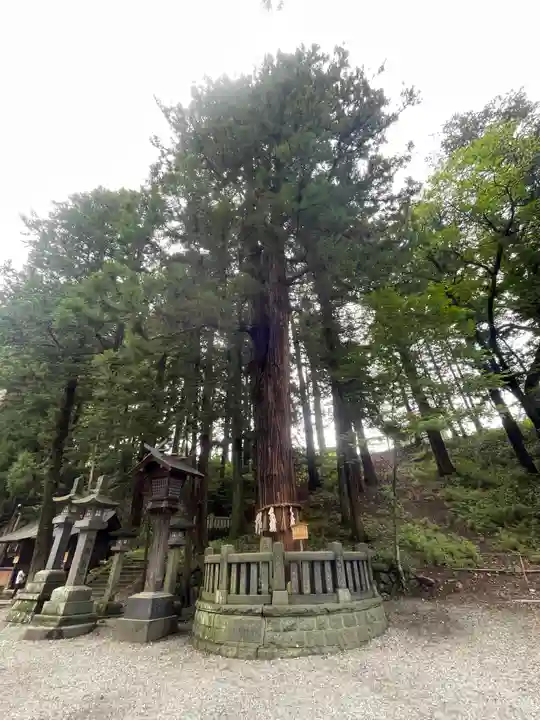 諏訪大社下社春宮(長野県)