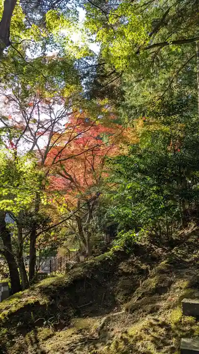 苗秀寺(京都府)