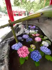 春日神社の手水