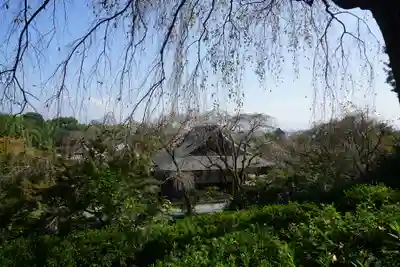 天龍寺のその他建物
