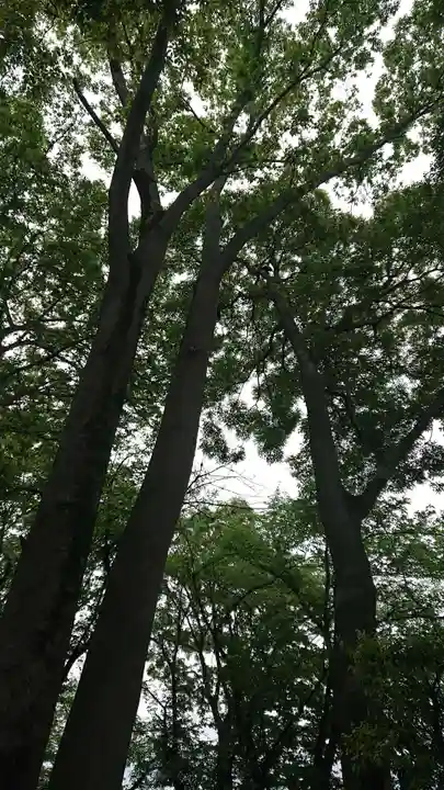 神明社(国府宮神明社)の自然