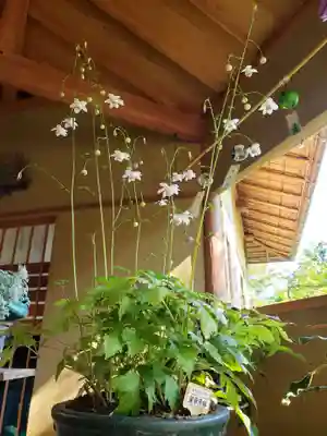 常泉寺のその他建物