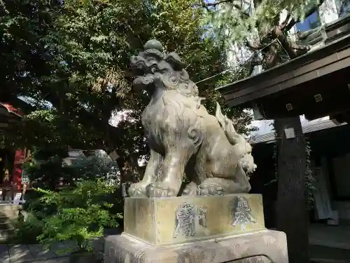 青山熊野神社の狛犬