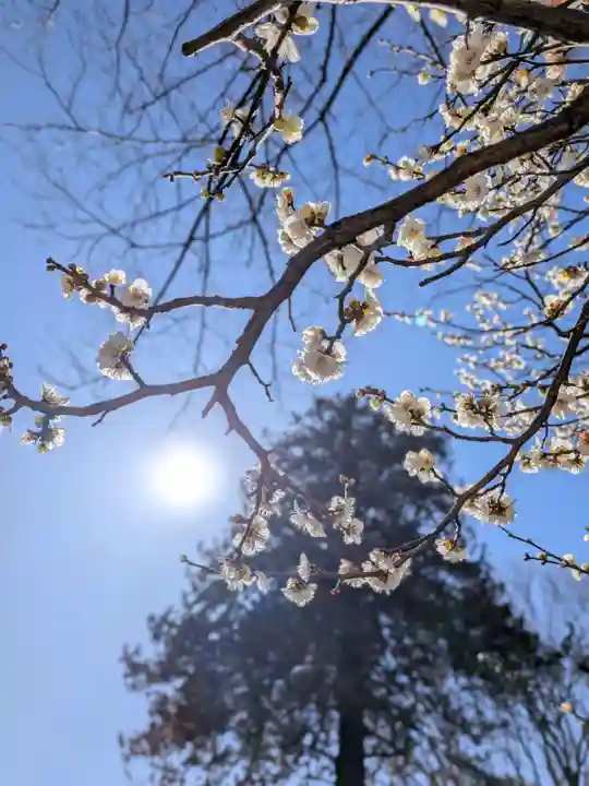 瑞円寺(東京都)