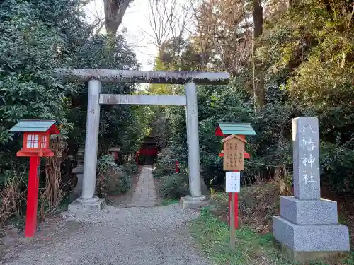 鷲宮神社の鳥居