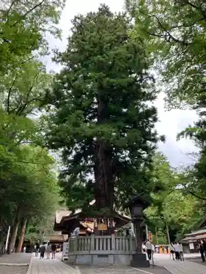 諏訪大社下社秋宮(長野県)