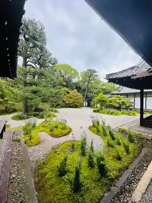 廬山寺(廬山天台講寺)(京都府)