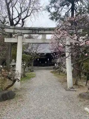 長浜八幡宮の鳥居