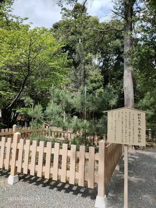 伊豆山神社の自然