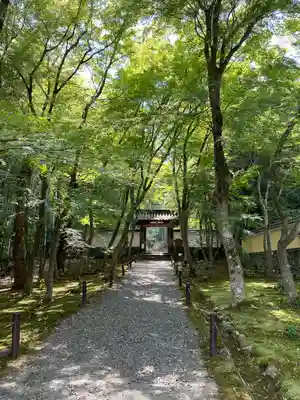 地蔵院(京都府)