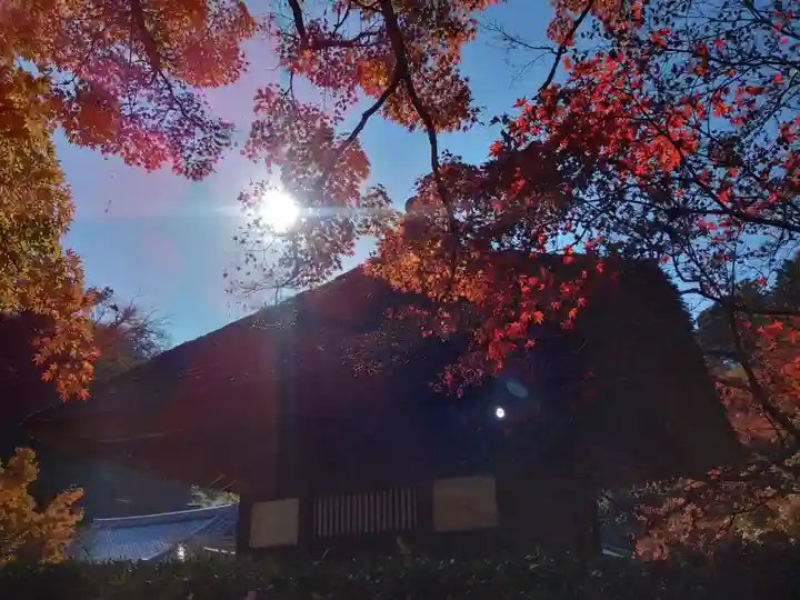 長壽寺(長寿寺)(神奈川県)
