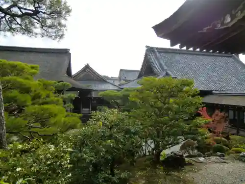 仁和寺の庭園