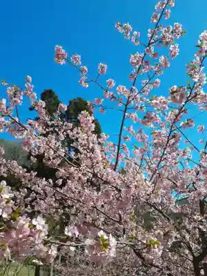 長楽寺(兵庫県)