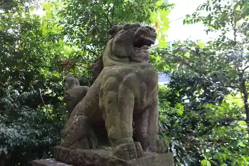 愛宕神社の狛犬