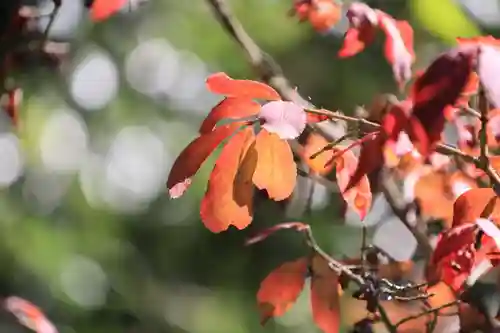 大六天麻王神社(福島県)