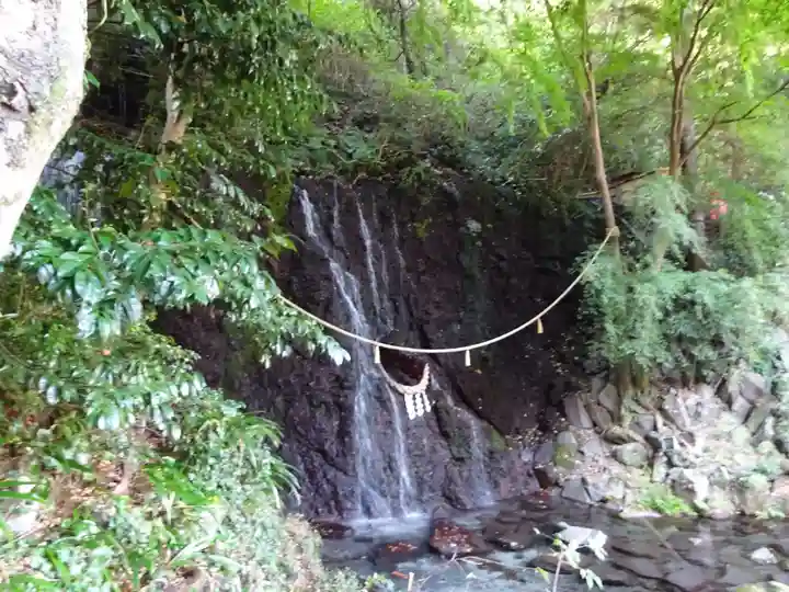 玉簾神社の自然