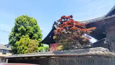 諏訪神社(群馬県)