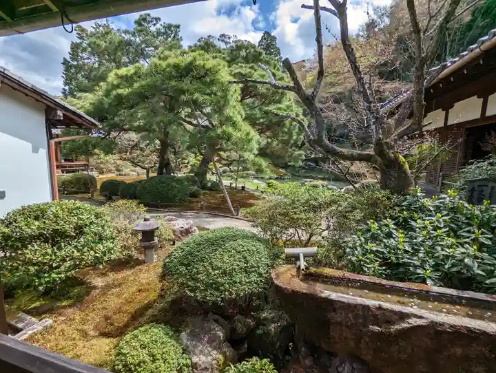 青蓮院門跡(京都府)