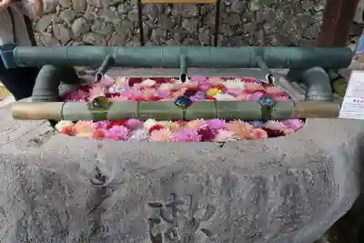 岡寺(龍蓋寺)(奈良県)