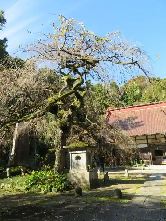 大隣寺(福島県)