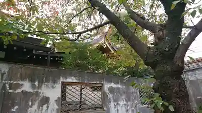 八宮神社のその他建物