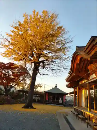 宗禅寺の末社・摂社