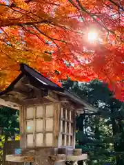 土津神社｜こどもと出世の神さまの建物その他