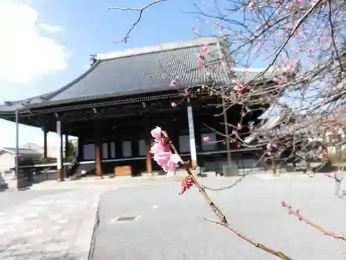 興正寺の本殿・本堂