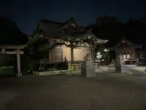 赤羽八幡神社の狛犬