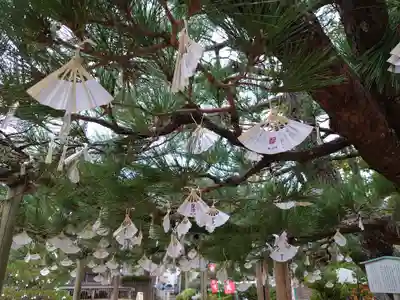 智恩寺のおみくじ