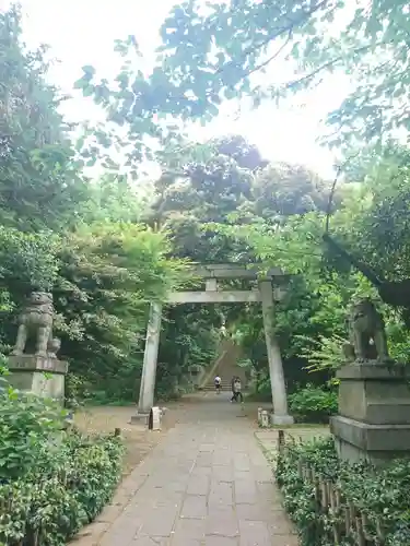 赤坂氷川神社の鳥居