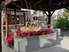 道隆寺の手水舎