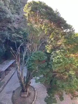 日龍峯寺(高澤観音)(美濃清水)(岐阜県)